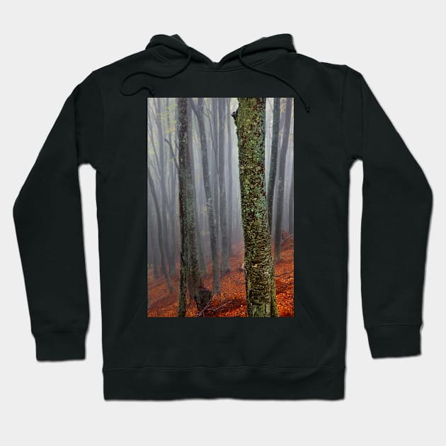 Lost in the misty forest Hoodie by Cretense72